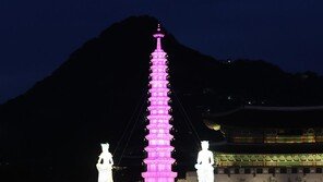 부처님오신날 앞두고 봉축점등식