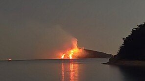 서산 조도 산불…5시간 만에 주불 진화