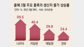나프타 60%-에틸렌 30% 껑충… 생산자물가 3년만에 최대폭 상승