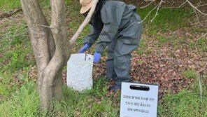 올해 첫 진드기 감염병 환자 발생…텃밭 갔던 70대 병원행