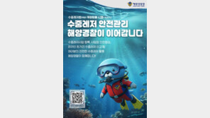 해경, 수상·수중레저 안전관리 모두 맡는다…“수중레저 안전 강화”