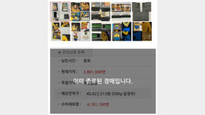 피규어 하나에 천만 원, 게임팩 하나에 4천만 원… 도대체 왜?﻿[게임 인더스트리]