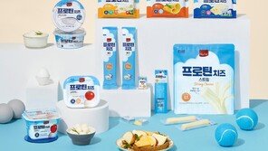 “맛과 영양까지 동시에 잡았다”… 7가지 치즈로 채우는 단백 습관