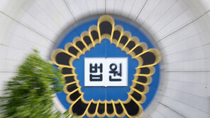 [속보]생후 4개월 ‘해든이’ 잔혹 학대 살해한 친모에 무기징역