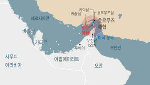 美국방부 “호르무즈 기뢰 제거, 종전 후에야 가능…6개월 소요”