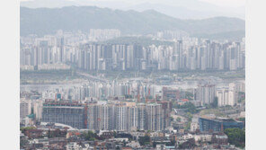 엄마집 5억 싸게 산뒤 다시 엄마에 전세준 딸…이상거래 덜미