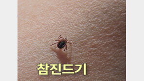 “백신도 약도 없다” 등산 중 ‘이것’ 물렸다간 구토·설사…사망할 수도