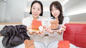 ‘핸드백 모양’ 초콜릿 디저트 선봬