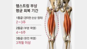 악! 야말이 쓰러졌다… 월드컵 부상 경계령