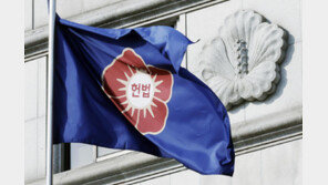 [단독]헌재, 소송 남발 골머리 “10명이 5년간 4657건”