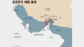 “호르무즈 기뢰 제거에 반년… 전쟁 끝나야 착수 가능할것”