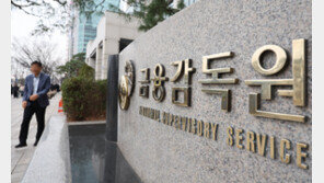 이복현 업추비·감사원 감사에 금감원 초긴장…직원들 불똥튈까 우려