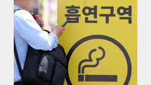 액상형도 금연구역서 피우면 과태료…“몰랐다” “전용구역 있었으면”