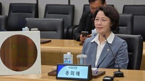 ‘삼전닉스’ 찾은 추미애 “어디 뚝 떼준다고 되나”… 반도체 지방이전론 제동
