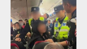“승무원이 왜 중국어 못해” 기내 난동…항공기 100분 지연