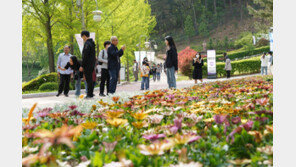 대문 열자 반겨주는 팬지-비올라-데이지… ‘봄의 궁전’을 걷다