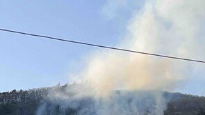 삼척 산불 1시간 27분 만에 진화…일몰 전 주불 잡아