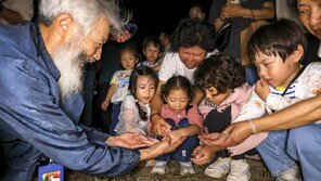 무주에서 보는 반딧불이…탐사프로그램 6월·9월 상설화