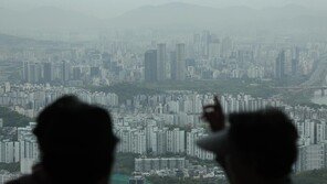 서울 공기 20년 새 달라졌다…미세먼지 정책·생활 서비스 ‘촘촘’