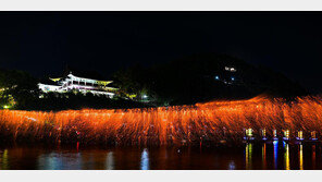 옛 고깃배 등불처럼… 밀양강 수놓은 불꽃