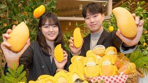 “태국 과일 맛보세요”