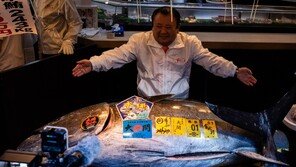 ‘47억에 낙찰’ 세계에서 가장 비싼 참치…기네스북 올랐다