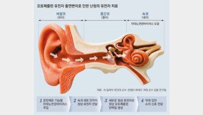 ‘정상 유전자’를 난청 환자 귀에 주입… “소리가 들려요”