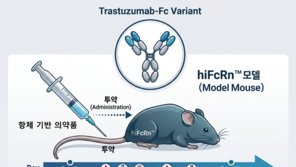  젬크로, 항체 평가용 FcRn 인간화 마우스 모델 hiFcRn™ 영국 수출