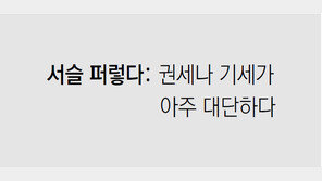 [신문과 놀자!/미션 나의 문해력]서슬 퍼렇다