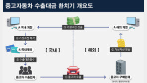 코인으로 중고차 수출대금 1000억대 환치기 적발…“수사 확대”