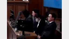 [속보]“김건희, 시세조종 직접 가담…공동정범 책임 인정”