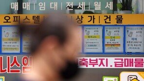 아파트 규제에 오피스텔로…중대형 가격 상승세 ‘뚜렷’