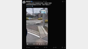 “日 지진에 시체 산더미, 자위대가 바다에 유기”…SNS 퍼진 중국어 가짜뉴스
