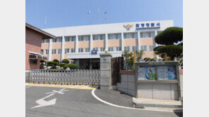 전동휠체어 타고 횡단보도 건너던 80대, SUV에 치여 사망