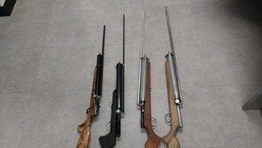 “비둘기 먹으려” 대나무밭서 탕 탕…불법총기로 사냥한 태국인들
