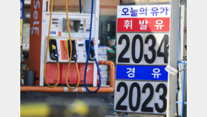 미국 휘발유 가격 4.18달러…3년 8개월만 최고치