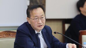 北에 ‘조선’ 호칭 논란에… 통일차관 “北실체 인정하는 신뢰의 언어 필요”