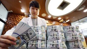1분기 하루 평균 외환거래액 사상 최대… “외국인 주식 거래 증가 영향”
