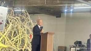 “1세대 아울렛, 국내 첫 게임 성지로”… 마리오아울렛, 3300평 IP 복합공간으로 재탄생