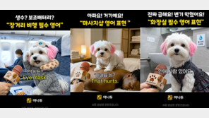  AI 캐릭터 ‘뽀삐’  맹활약 …야나두, 생성형 AI콘텐츠 SNS 누적 조회수 4,000만 회 돌파
