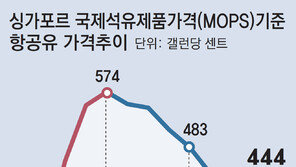 유류할증료 최고 단계로… 뉴욕 왕복 52만원 올라