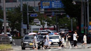‘4월 이미 29도’ 대구보다 더 덥다…올여름도 ‘광프리카’ 예고