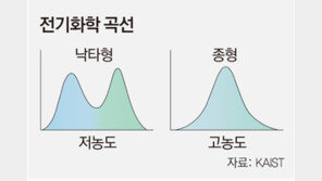 배터리 충전 100년 난제… ‘낙타 곡선’ 비밀 풀렸다