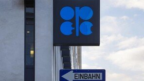 ‘UAE 탈퇴’에 놀란 OPEC+ 7개국 “원유 증산…하루 18.8만 배럴”