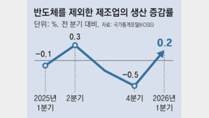 K자형 양극화 시름… 반도체 뺀 제조업, 생산 증가 0.2% 그쳐
