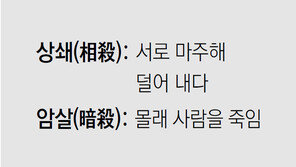 [신문과 놀자!/미션 나의 문해력]상쇄, 암살