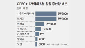 한국행 유조선 7척 아직 호르무즈 발묶여, OPEC+ 증산 합의… 수급난 해소는 미지수