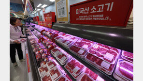 ‘대체재’ 수입육 최대 30%↑…밥상물가 파고드는 고유가 여파