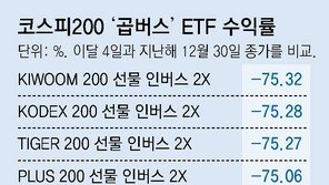 ‘칠천피’ 시대 앞 웃고 있는데 ―75%… ‘곱버스’ 개미는 눈물이 난다