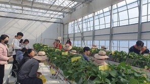 광주시, “지친 일상, 농업으로 치유하세요.”